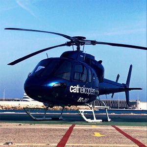 Discount Cathelicopters Gallery (7)